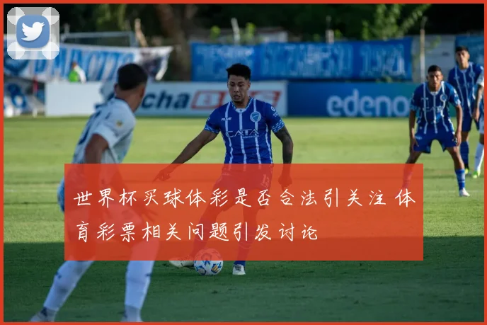 世界杯买球体彩是否合法引关注 体育彩票相关问题引发讨论