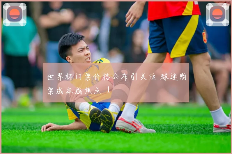世界杯门票价格公布引关注 球迷购票成本成焦点_1